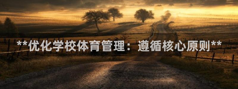 必一体育运动官网：*