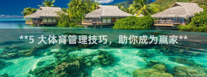 必一体育最新官网入口