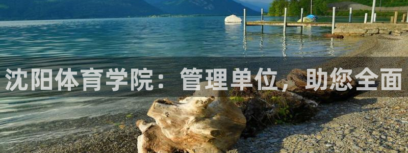 b体育必一运动网页版