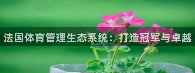 必一体育在线下载：法