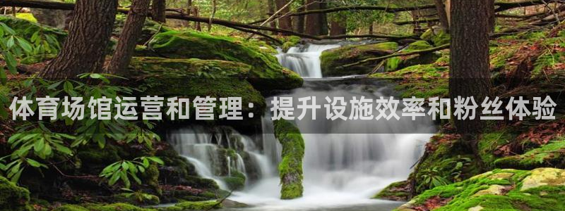 必一体育官方下载