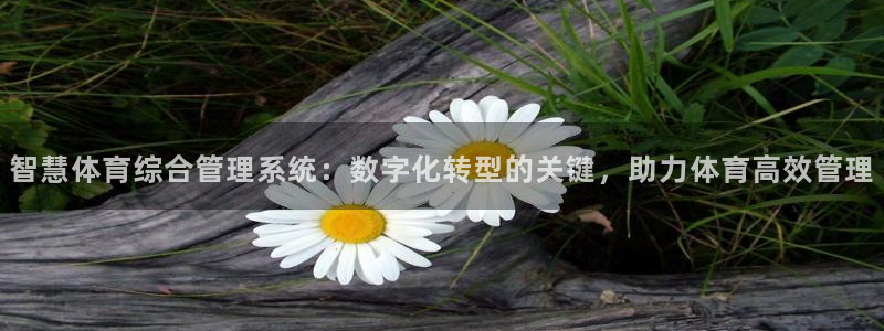 必一体育网页：智慧体