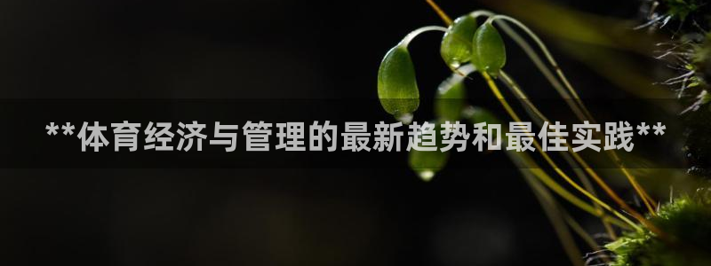 必一体育没了：**体