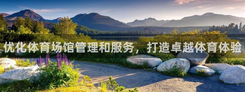 b体育必一下载：优化