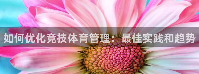 必一运动体育app：