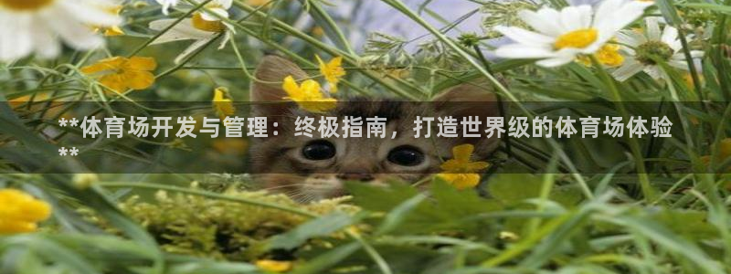 必一体育官方入口：*