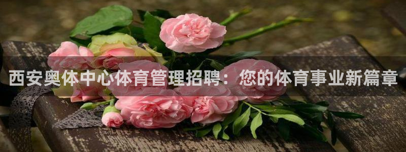 必一体育sport下