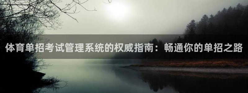 必一体育电子app：
