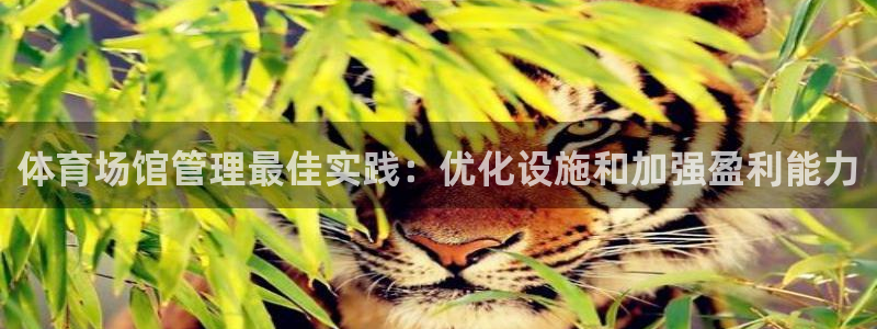 必一体育运动平台官网