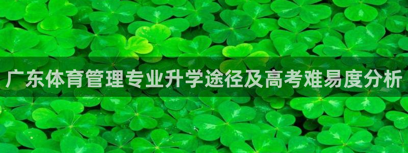 必一体育在线登陆：广