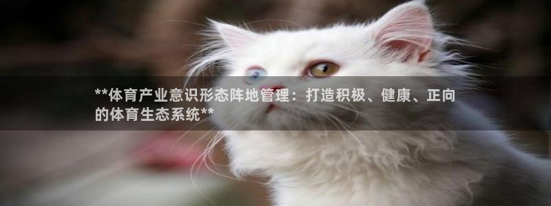 必一体育合法吗：**