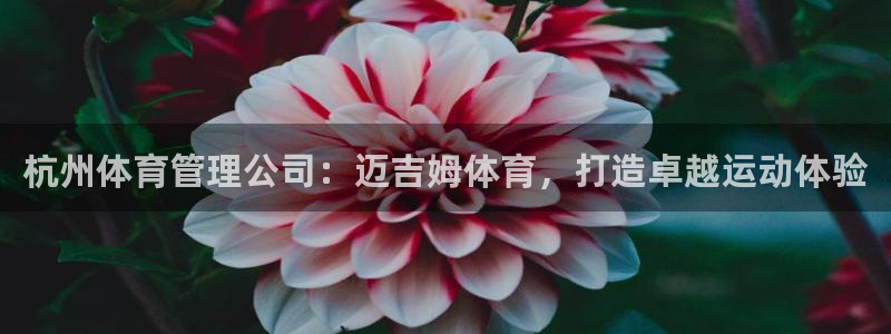 必一体育网页登陆：杭