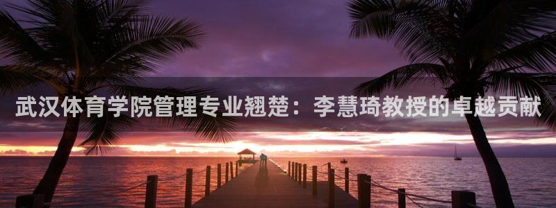 必一体育官方入口：武