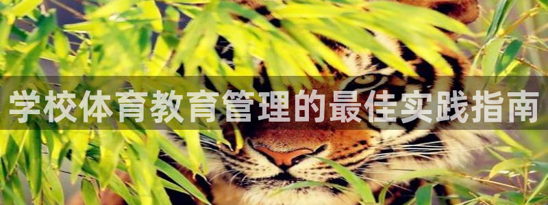 必一运动·(B-sports)