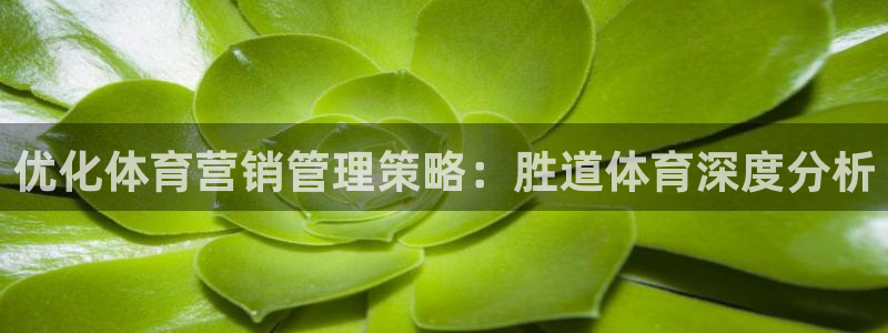 必一体育sport官