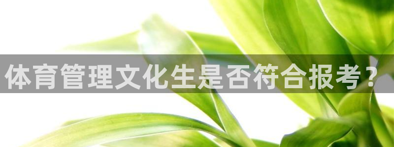 必一体育bsport