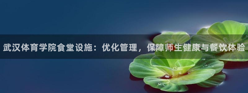 必一体育app下载装