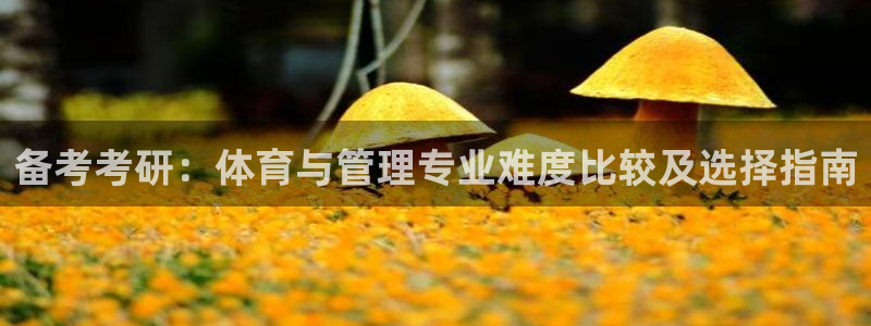 必一体育运动平台官网