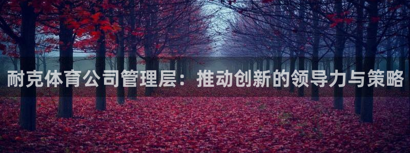 耐克体育公司管理层：