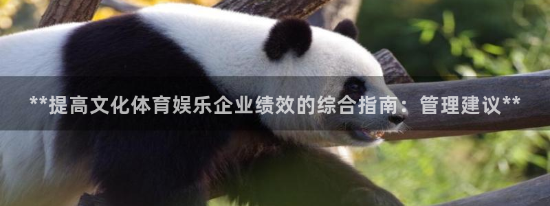 必一体育全站在线登录