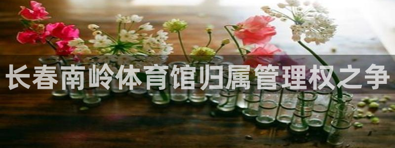 必一体育官方入口：长