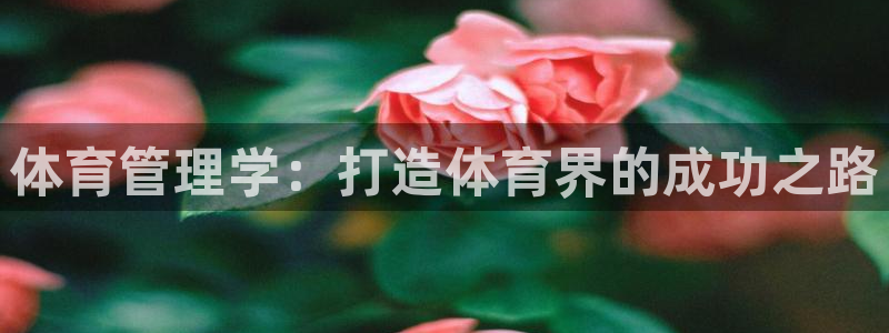 必一体育下载意思：体