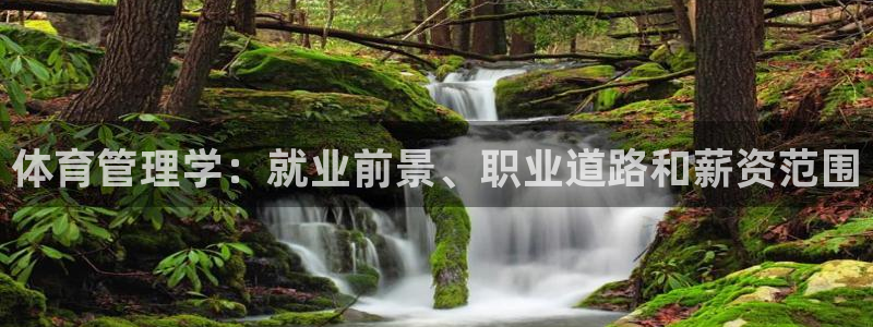 必一体育官方下载入口