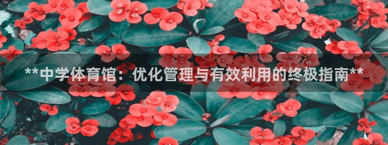 必一体育sport官