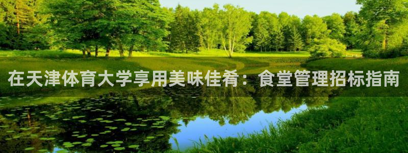 必一体育官网入口：在