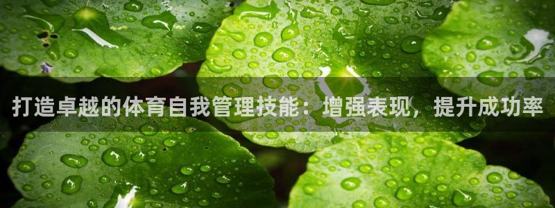 必一体育下载app下
