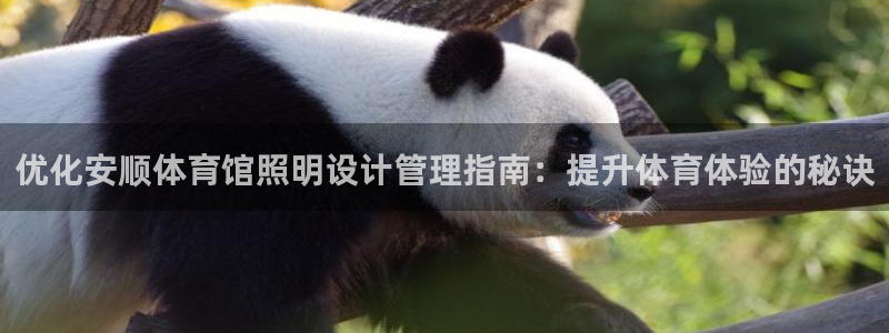 必一体育在线下载：优