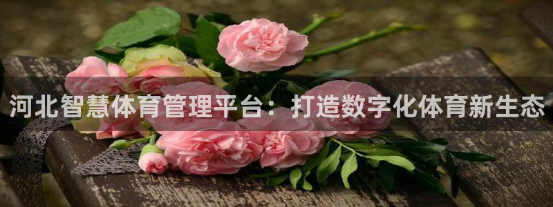 必一体育在线官网：河