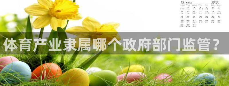 必一体育下载app下
