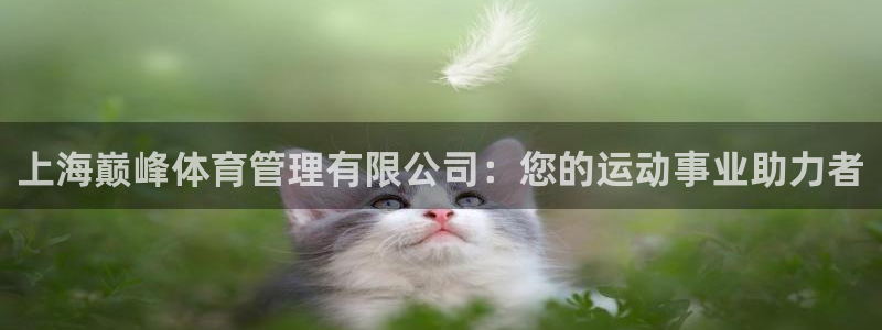 必一体育游戏玩法：上