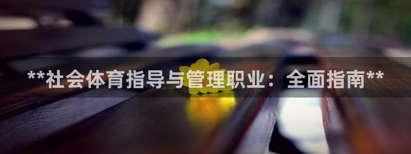 必一体育登录APP下