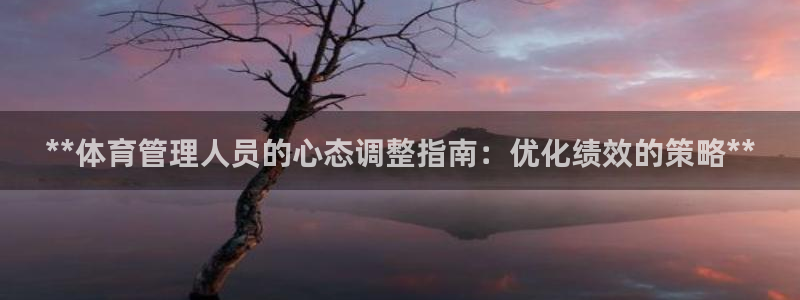 必一体育APP：**