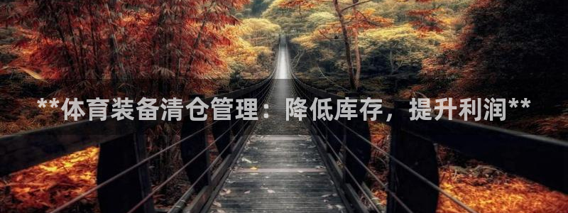 必一体育app官方网