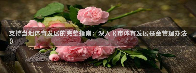 必一体育sportB