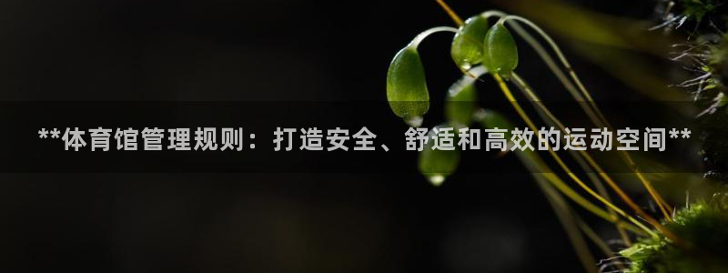 必一体育在线登陆：*