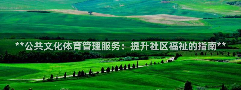 必一体育app官方网