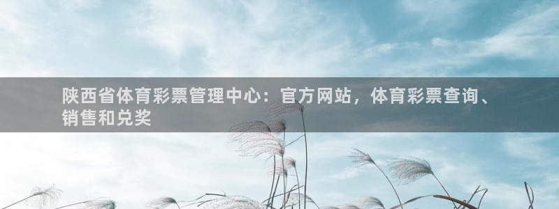 必一体育怎么下载：陕