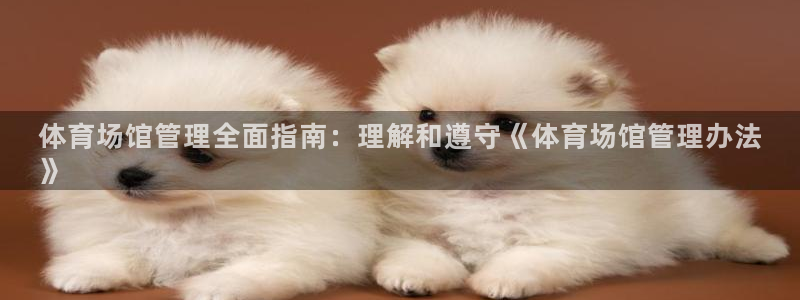 b体育必一运动网页版