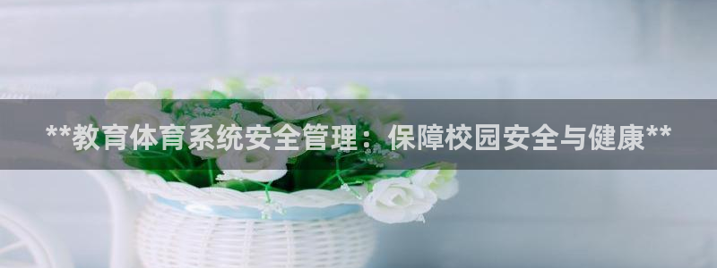 必一体育官网网站：*