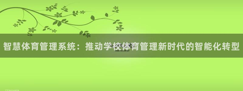 必一运动bsport体育app下载：智慧体育管理系统：推动学