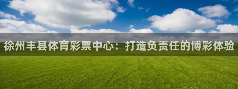 必一体育没了：徐州丰