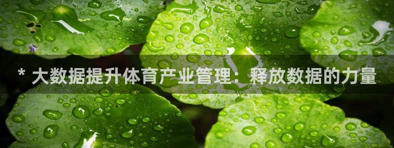 必一体育服下载最新版本更新内容：* 大数据提升体育产业管理：