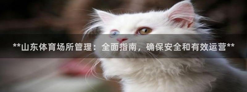 必一体育下载：**山东体育场所管理：全面指南，确保安全和有效