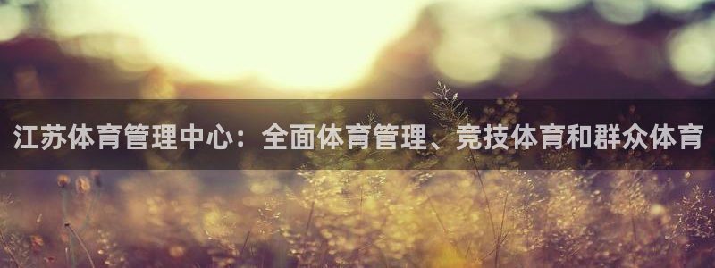 必一体育手机下载：江