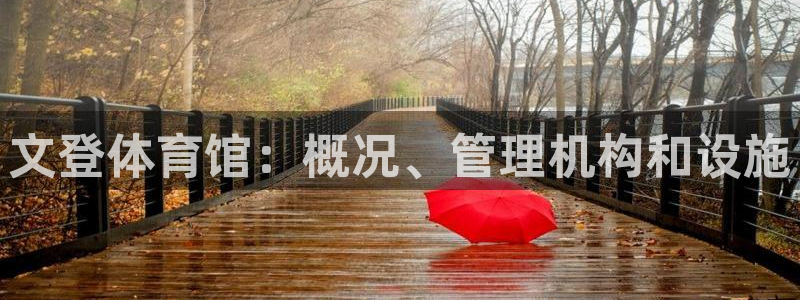 必一运动 b 体育素