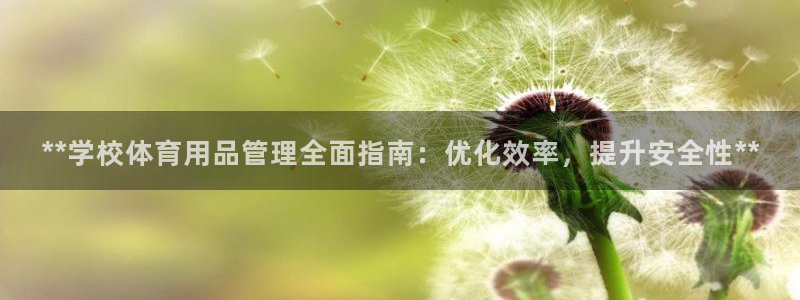 必一体育全站在线登录